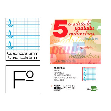 RECAMBIO LIDERPAPEL FOLIO PAUTAGUIA 100 HOJAS 75 G CUADRICULADO PAUTADO 5 MM CON MARGEN 4 TALADROS