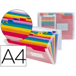 CARPETA LIDERPAPEL CLASIFICADOR FUELLE 42159 POLIPROPILENO A4 TTE 2 HUECOS TARJETAS SPECTRAFILE 13 D