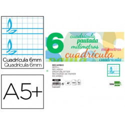 RECAMBIO LIDERPAPEL CUARTO APAISADO PAUTAGUIA 100 HOJAS 75 G CUADRICULADO PAUTADO 6 MM CON MARGEN 2 