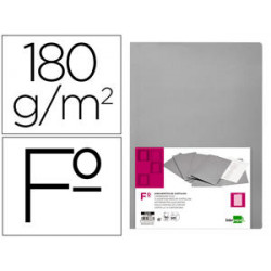 SUBCARPETA LIDERPAPEL FOLIO GRIS 180G/M2