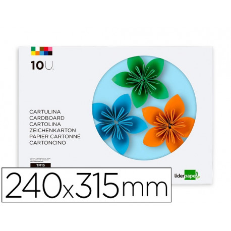 BLOC TRABAJOS MANUALES LIDERPAPEL CARTULINA 240X315MM 10 HOJAS 5 COLORES NEON + 5 COLORES INTENSOS