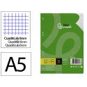 RECAMBIO LIDERPAPEL DIN A5 100 HOJAS 75 GR CUADRO 6MM CON MARGEN 6 TALADROS